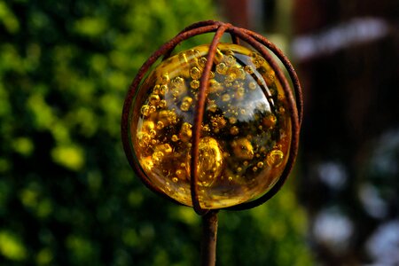 Yellow ball reflection photo