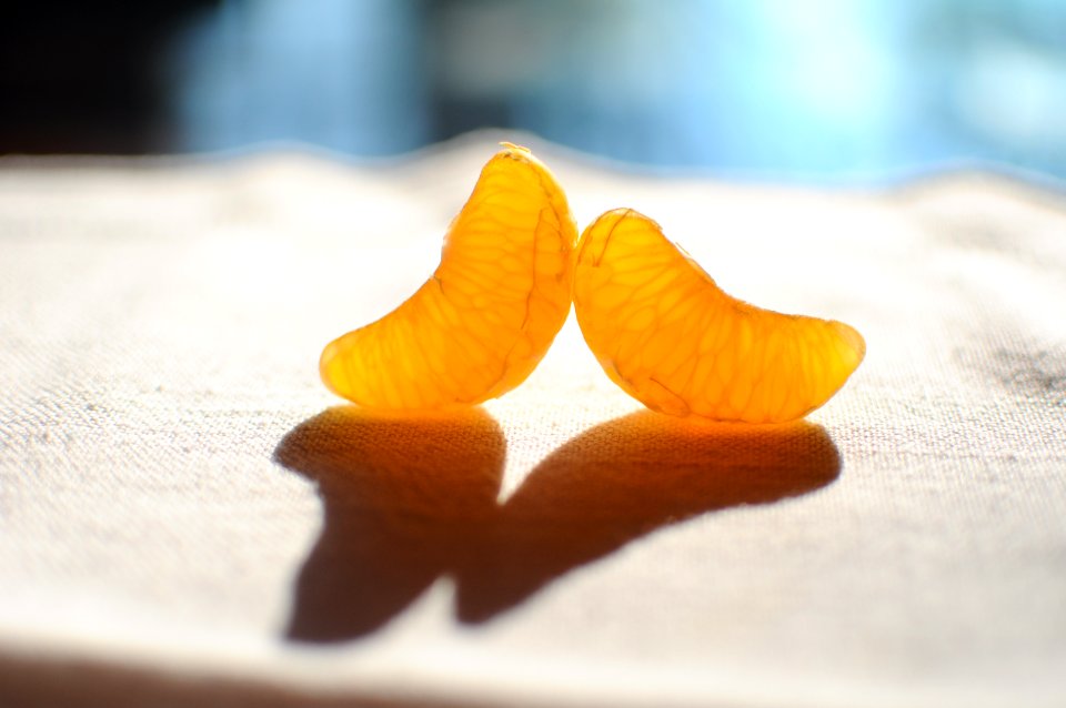 Illuminated Orange Segments