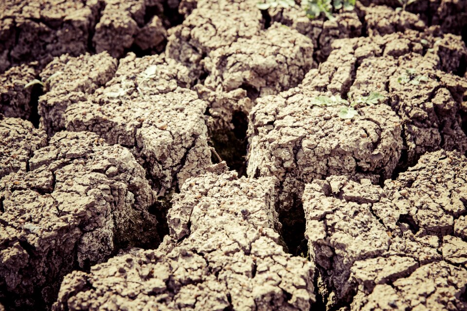 Cracked drought nature