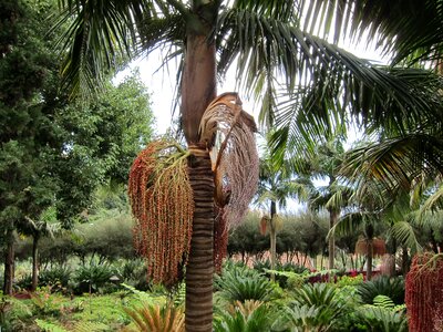 Exotic botany tropical