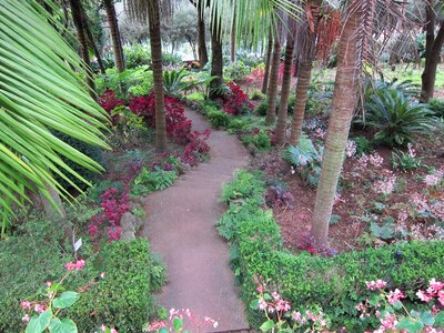 Botanical garden path stone