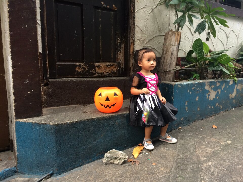 Curious cute pumpkin