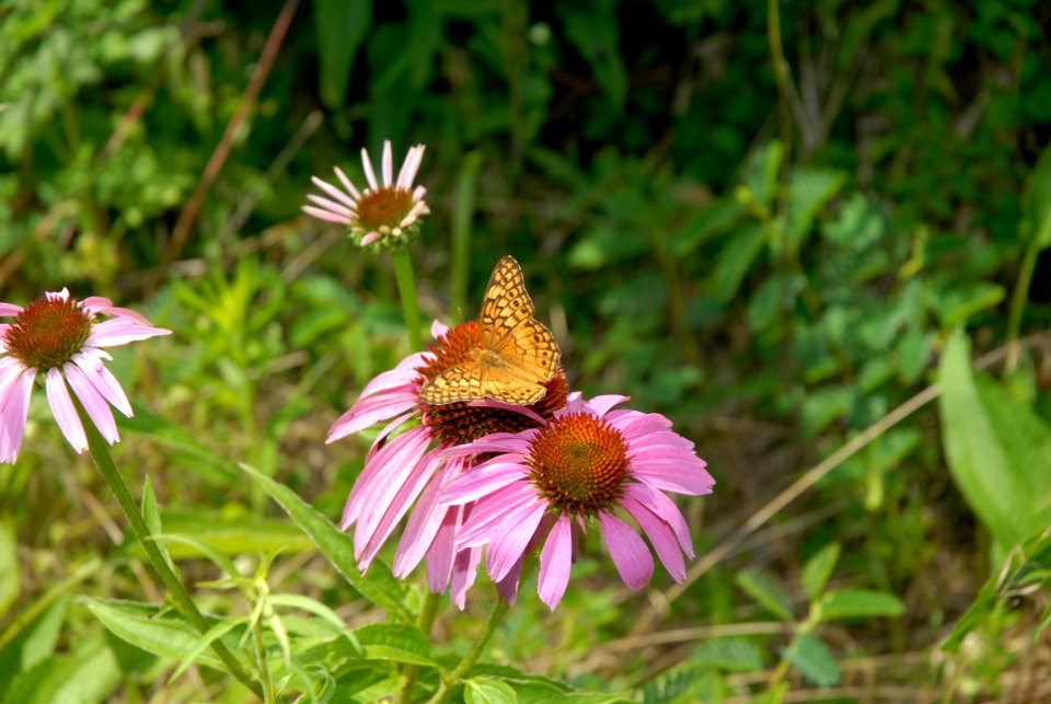 20120106-OC-AMW-0240