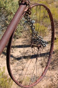 Art xeriscape xeriscaping photo