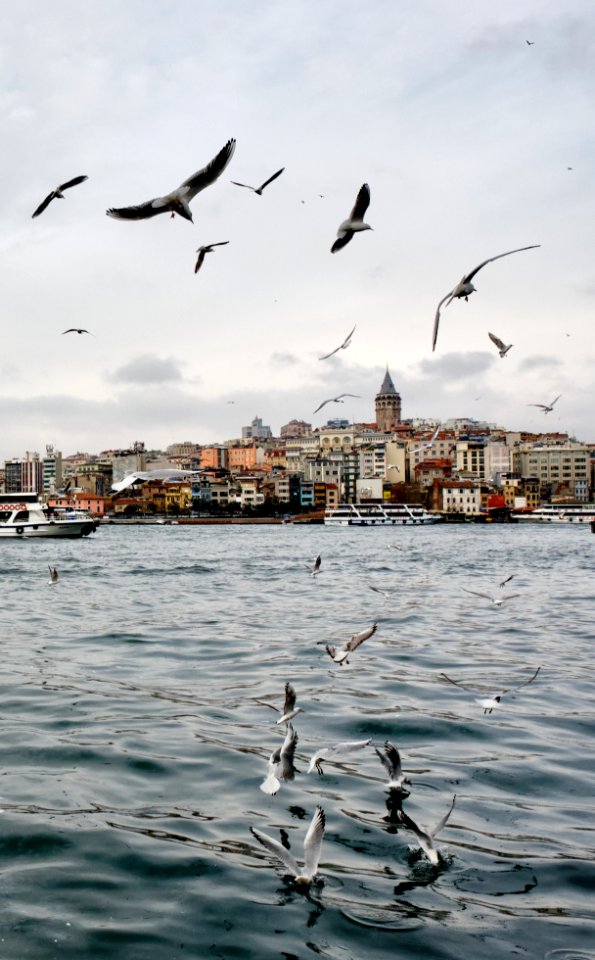 Torre de Gálata desde el Cuerno de Oro, Estambul