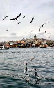 Torre de Gálata desde el Cuerno de Oro, Estambul photo