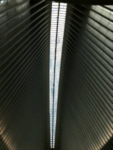 Oculus photo