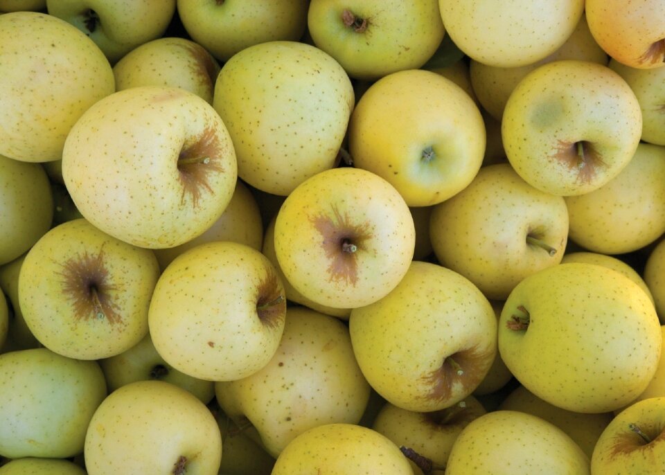 Fruit agriculture nature