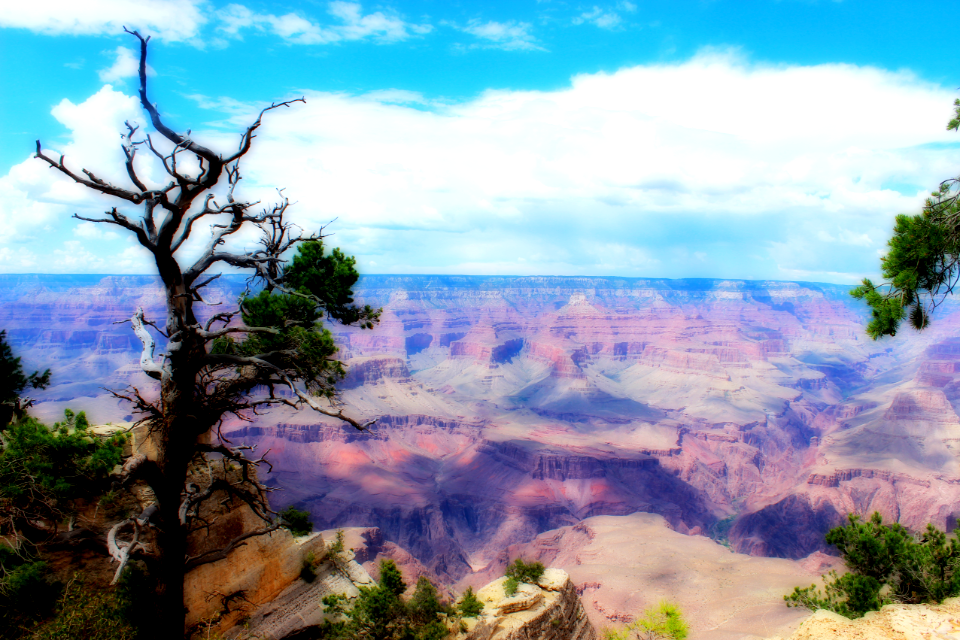 Grand Canyon