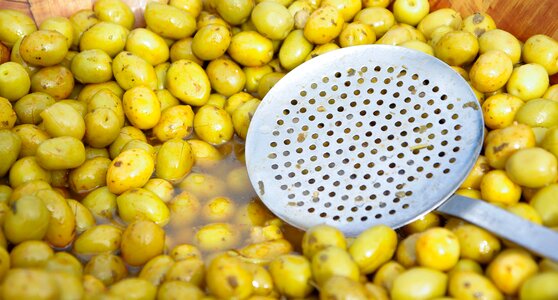 Olive trees olive oil skimmer