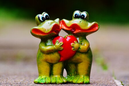 Love heart frog photo