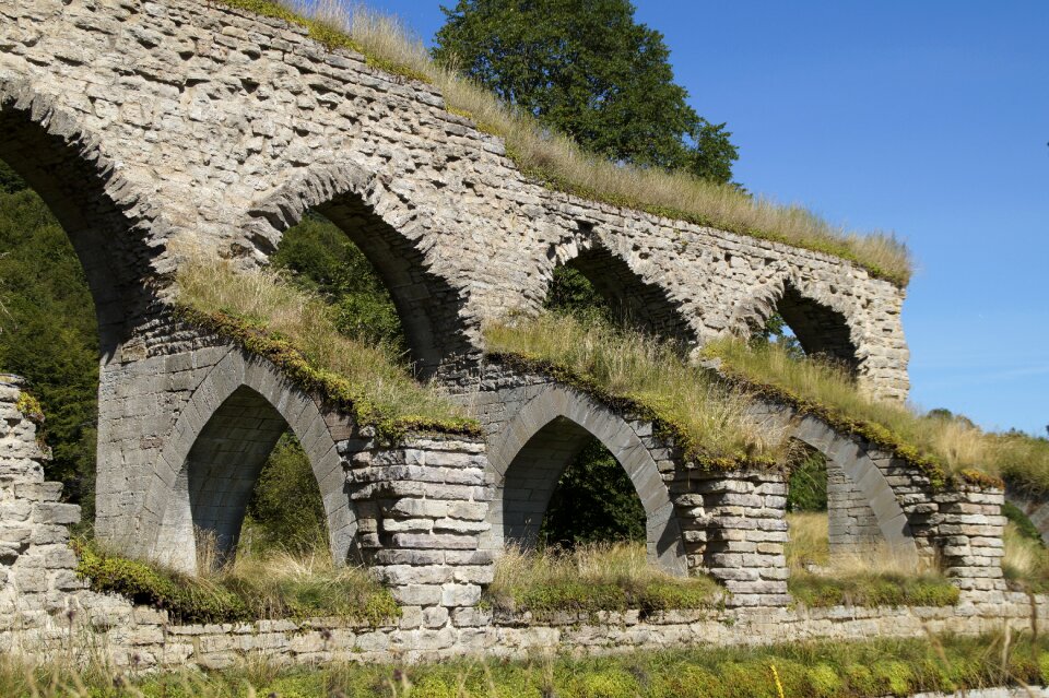 Alvastra ruin monastery