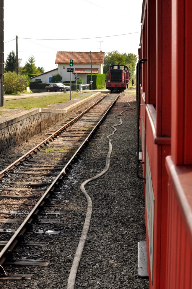 Train des mouettes - Charente-Maritime - France