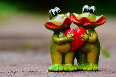 Love heart frog photo