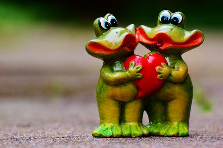Love heart frog