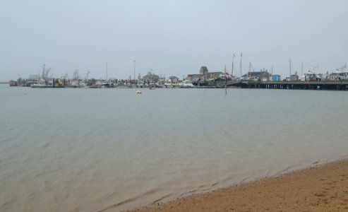 DSC 0072