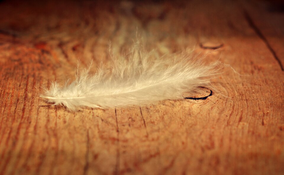 Slightly tender wood floor
