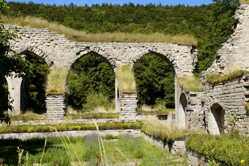 Alvastra ruin monastery