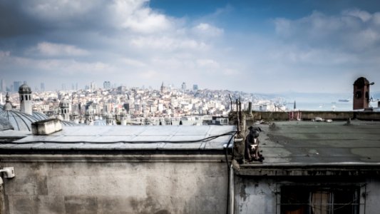 El triste perro del techo, Estambul.
