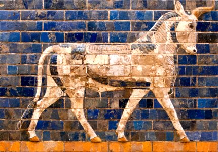 Toro en relieve de la Puerta de Ishtar, Babilonia photo