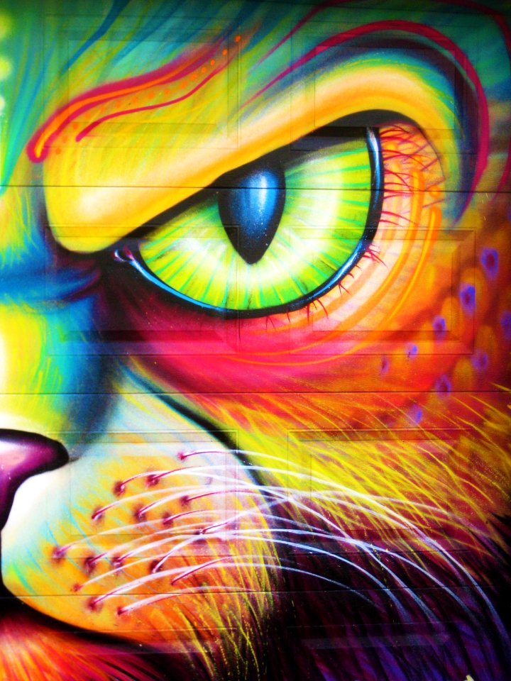 eyes- Toronto urban art