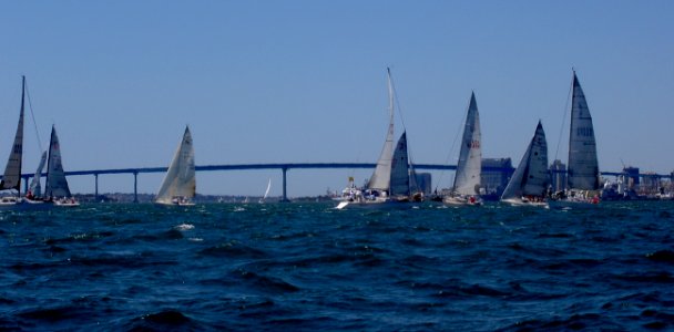 Yacht Race photo
