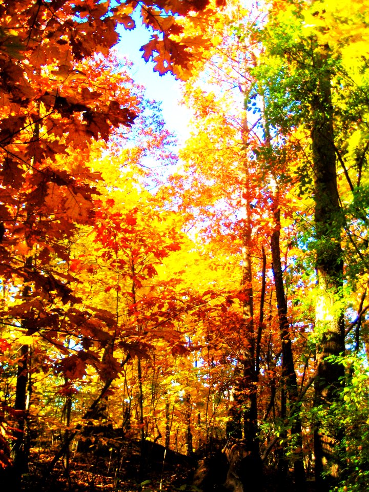 Autumn
