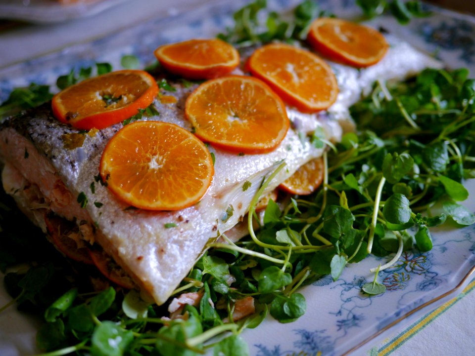 Salmon