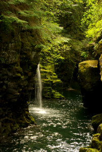 Toketee Falls photo