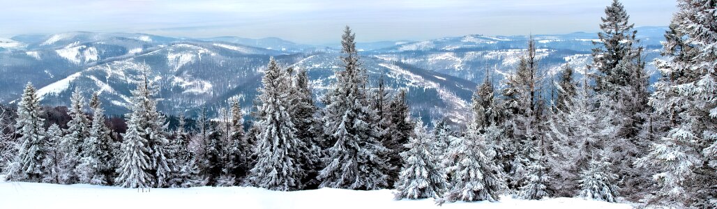 Mountains tree view photo