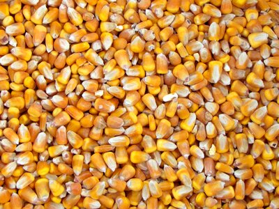 Eating nutrition agriculture