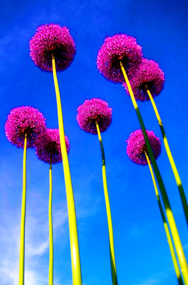 reaching up