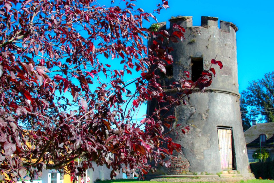 Torreón Los Canelos, Valdivia