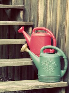 Handle pail watering photo
