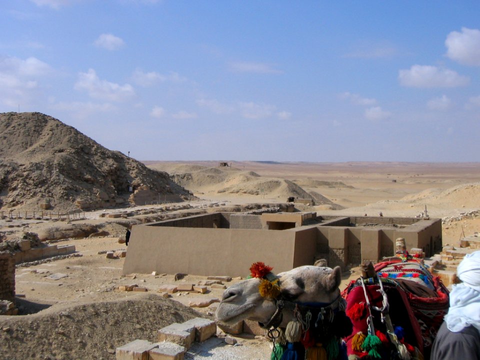 IMG 0090