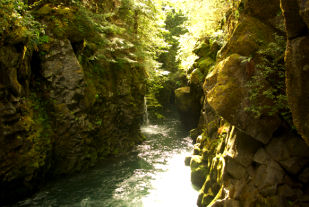 Toketee Falls