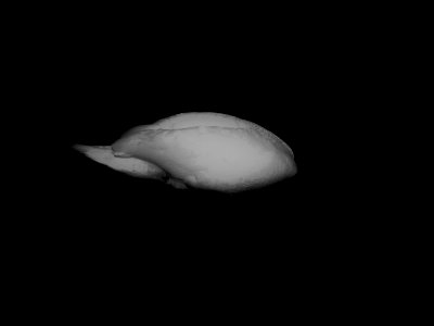 Cygnus X-1 photo