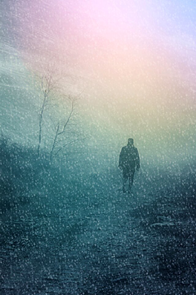 Fog snowfall lonely