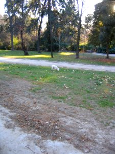 Real Parque del Buen Retiro