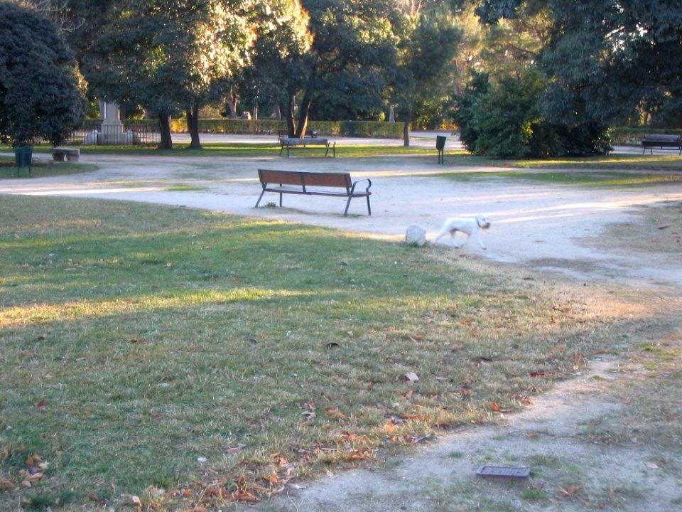 Real Parque del Buen Retiro