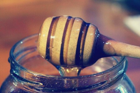 Honey dipper jar food photo