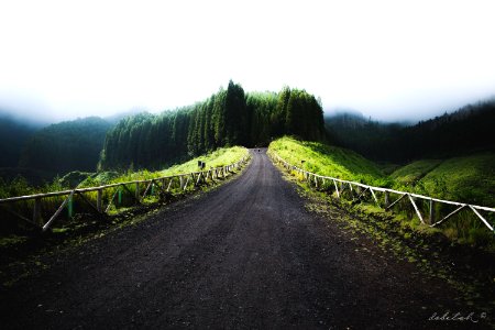 The road is short, I don't have much time