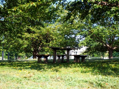 Day park