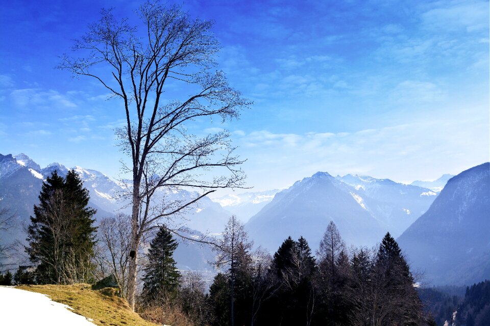Mountain peaks outlook trees