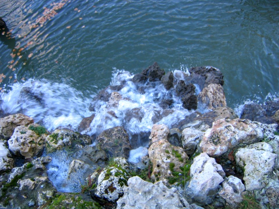 Real Parque del Buen Retiro