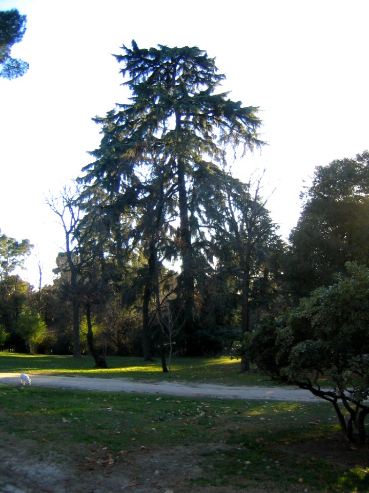 Real Parque del Buen Retiro