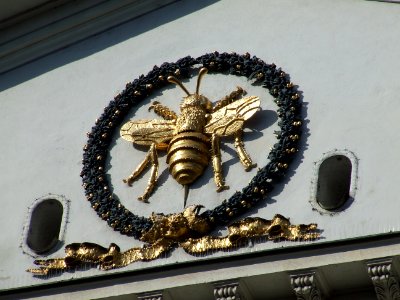 Viena