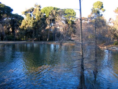 Real Parque del Buen Retiro photo