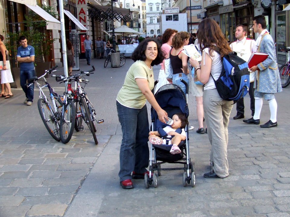 Viena