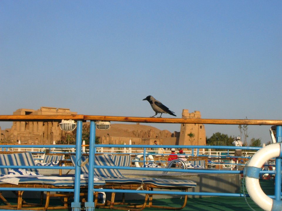Kom Ombo
